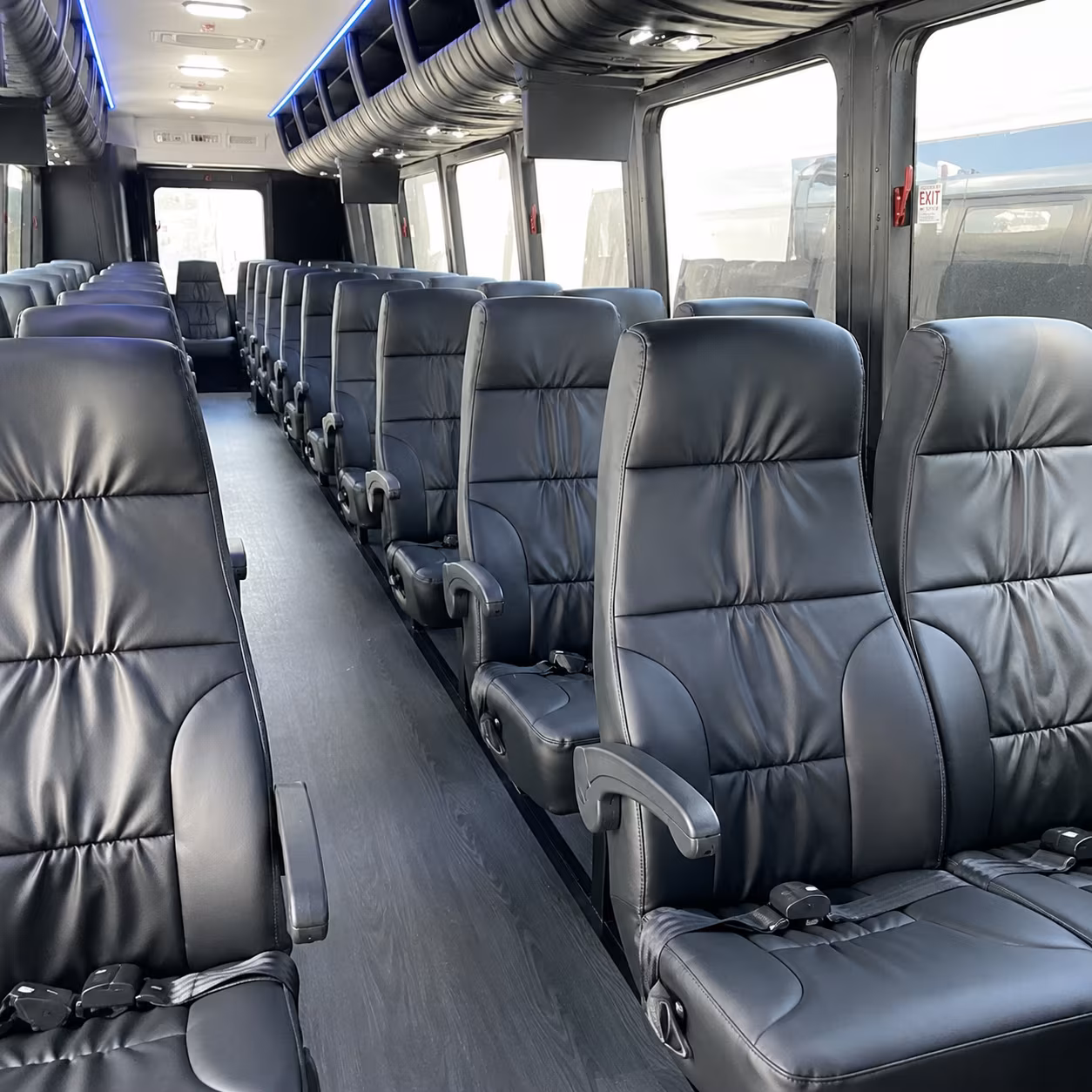 Grand Prairie School Event Transportation party bus exterior